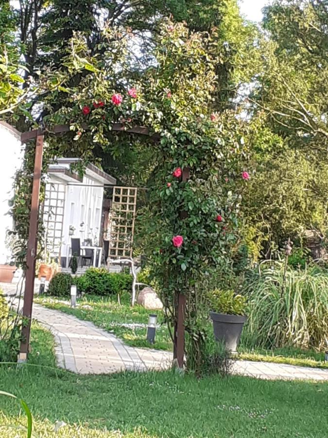 דירות Splietsdorf Ferienhaus Ciara מראה חיצוני תמונה